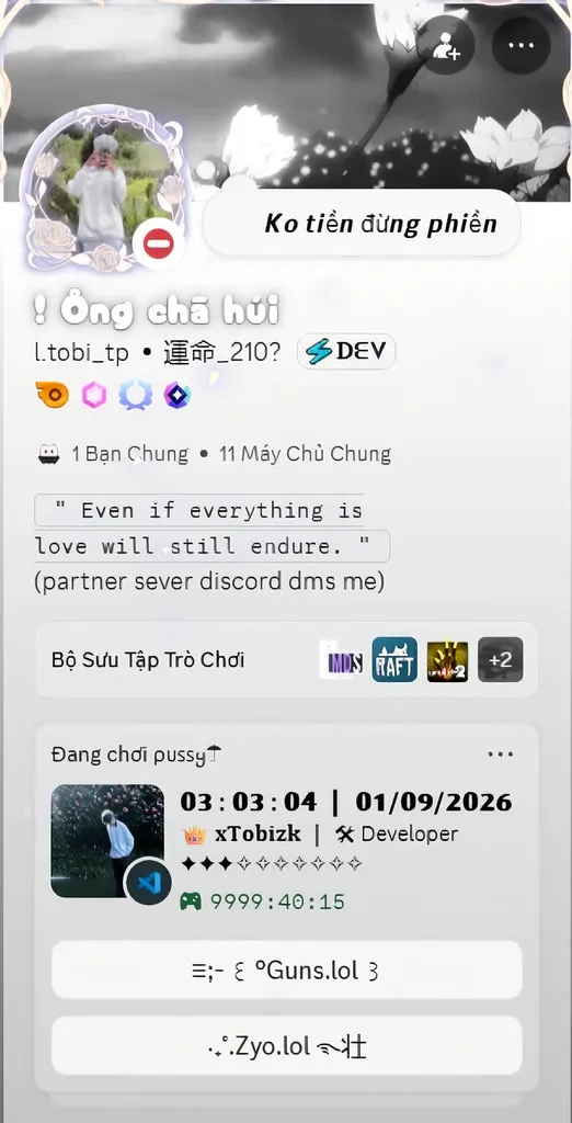 Discord Profile